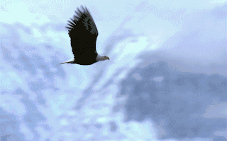 ☎ 2025聚焦 ꦿ℘@圣和静安公馆官方售楼处发布：圣和最新项目动态